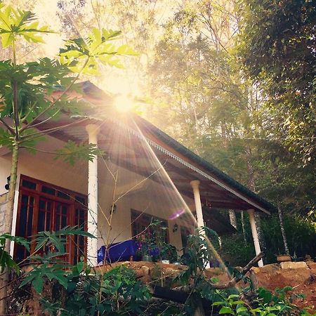 Secret Nest Homestay Ella Zewnętrze zdjęcie
