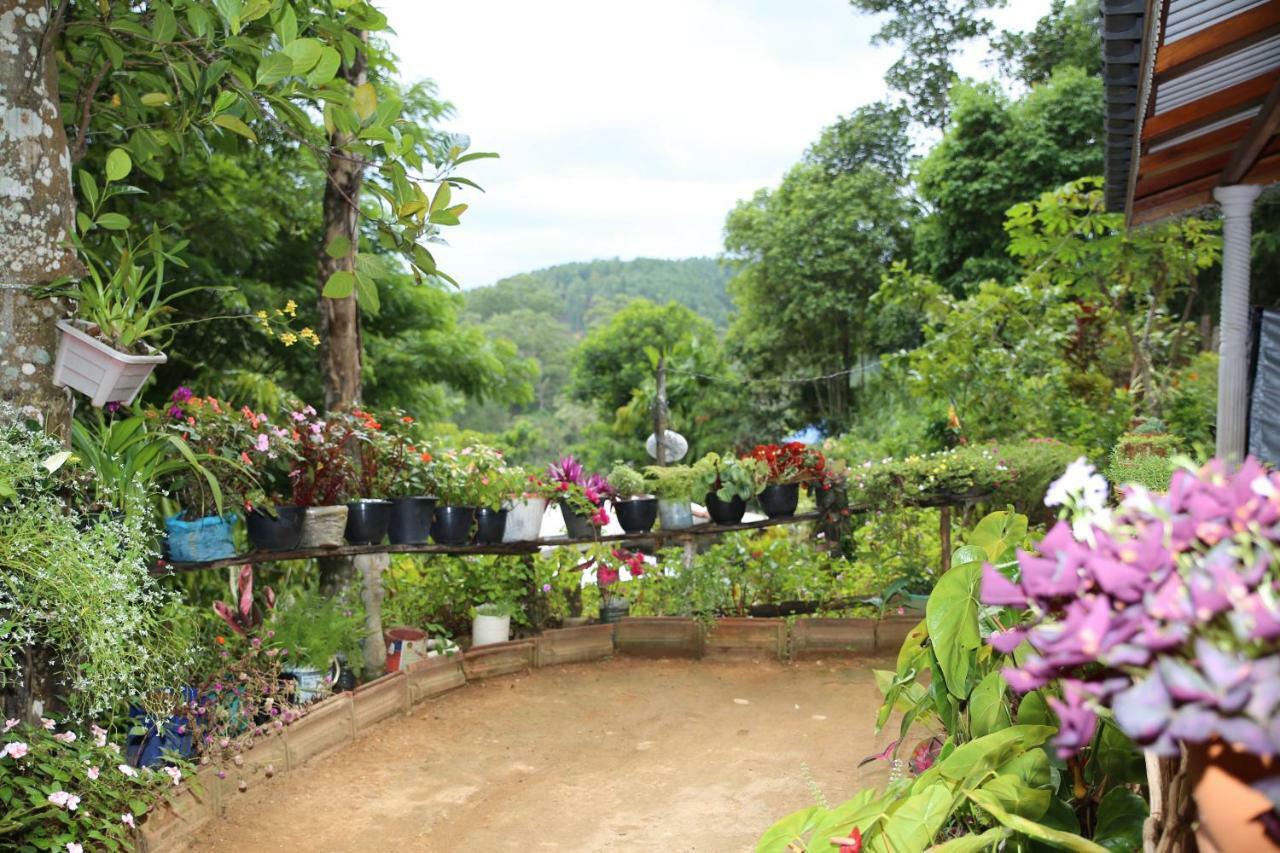 Secret Nest Homestay Ella Zewnętrze zdjęcie