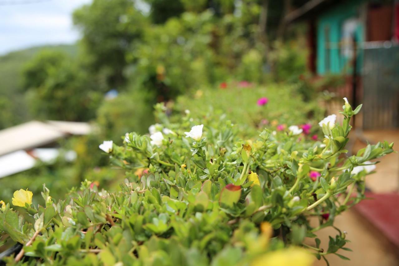 Secret Nest Homestay Ella Zewnętrze zdjęcie